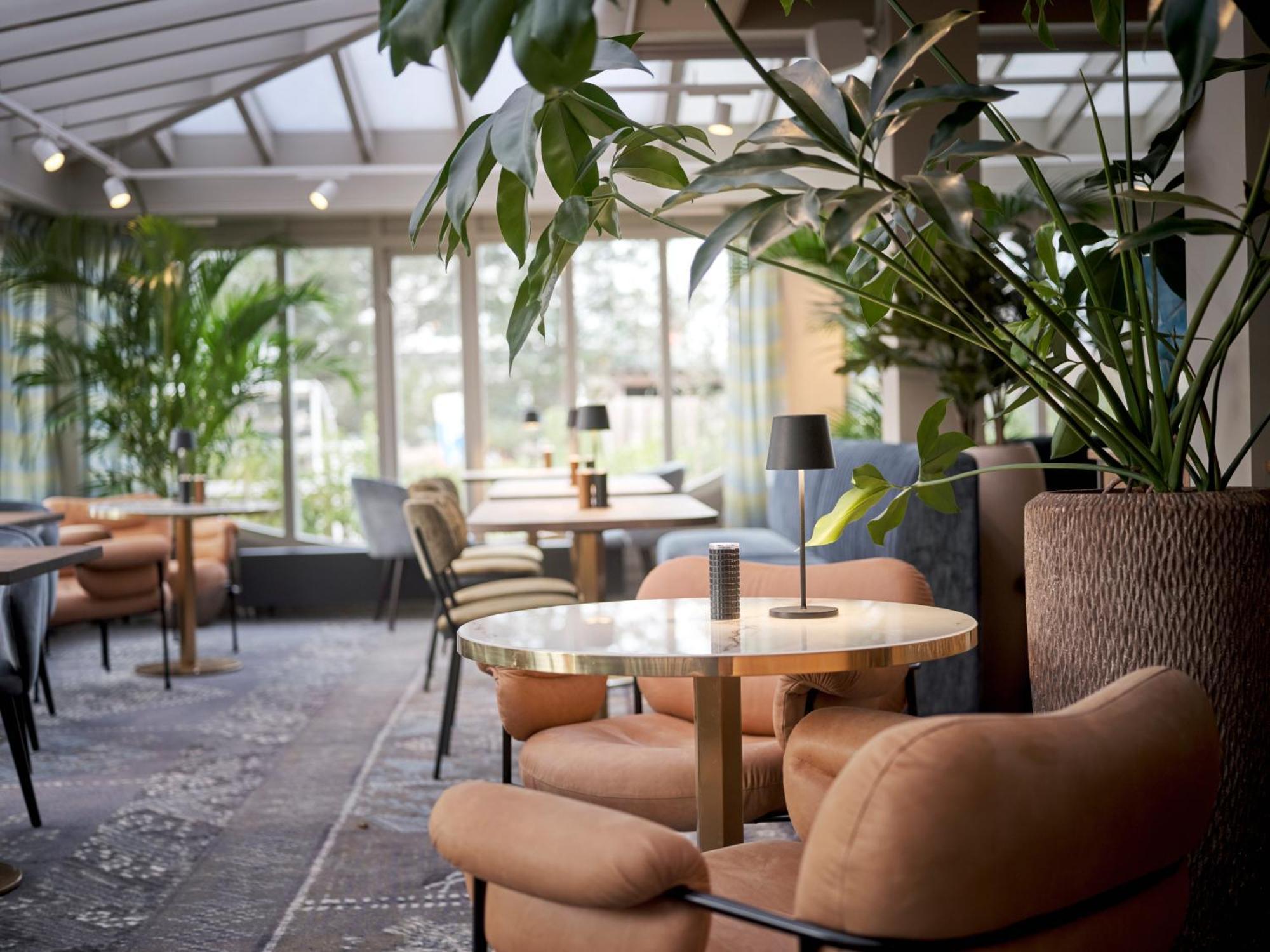 Hotel Carlton Oasis 4*